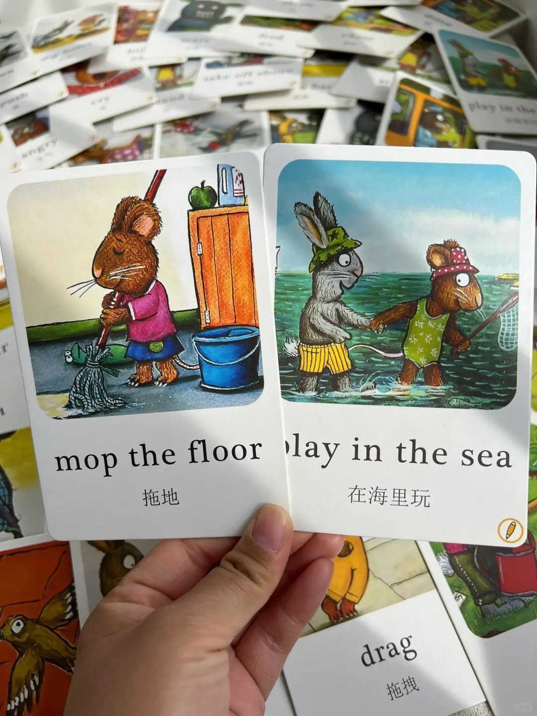 中英双语波西皮普闪卡 TPR指令卡 小蝌蚪点读卡