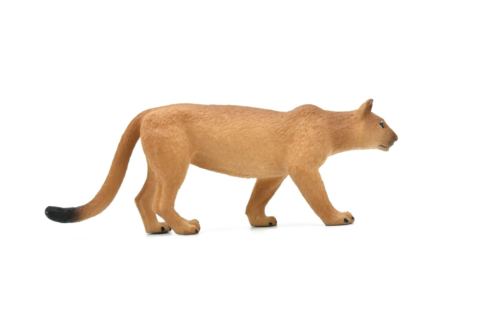 Puma, Cougar, Mountain Lion, Museum Quality Plastic Replica 5″ M127 B648