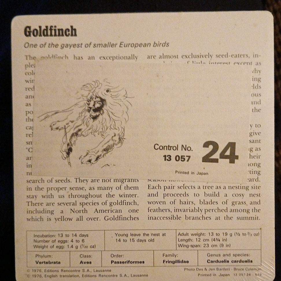 Animal Flash Cards (1976)