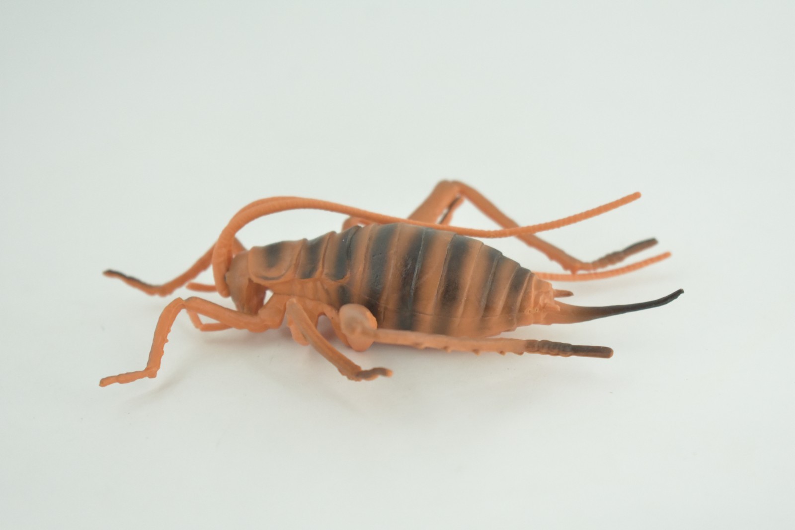 Cricket Toy, Hand Painted, Hard Rubber, High Quality, Realistic Bug, Gift CH1025