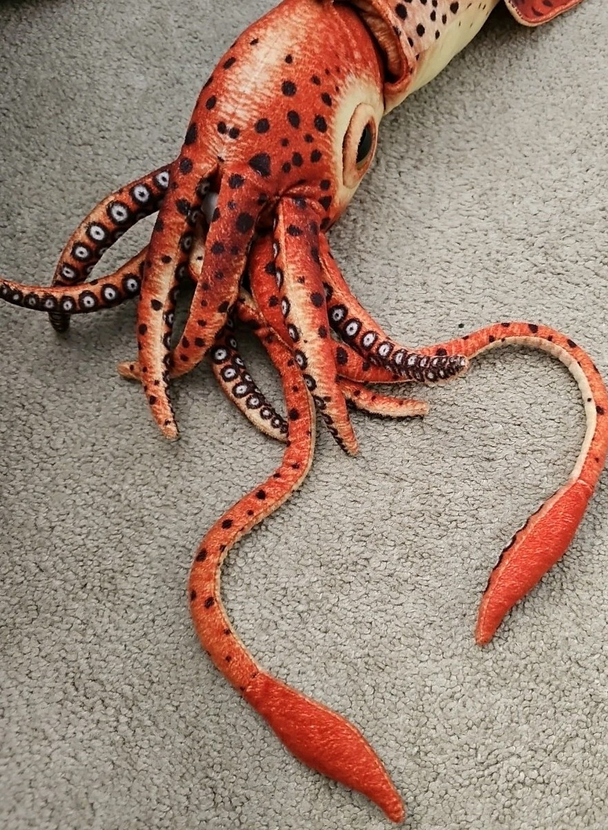 Giant Squid Realistic Cute Stuffed Animal Plush Toy Kids Gift 24″ Fiesta