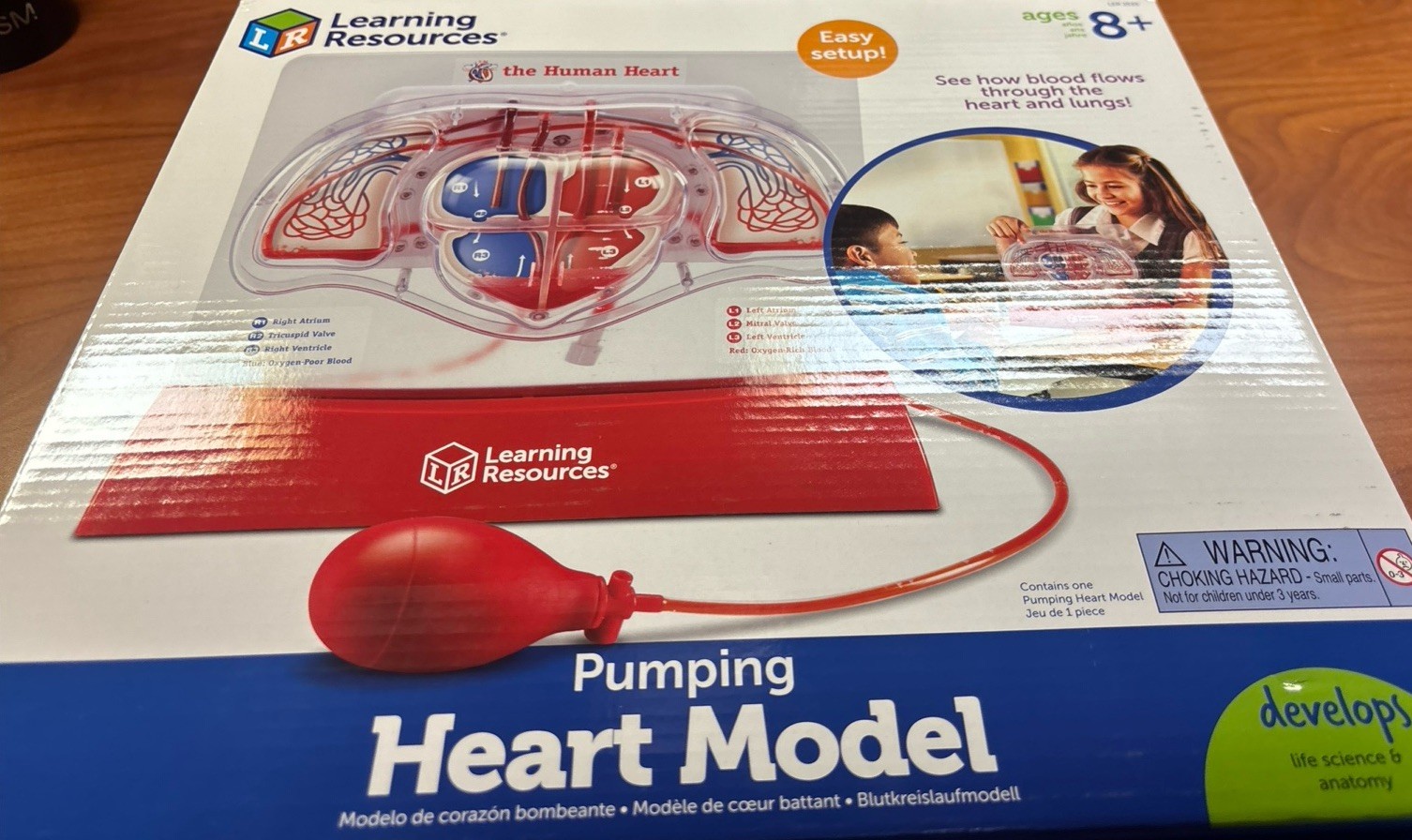 Learning Resources Human Heart