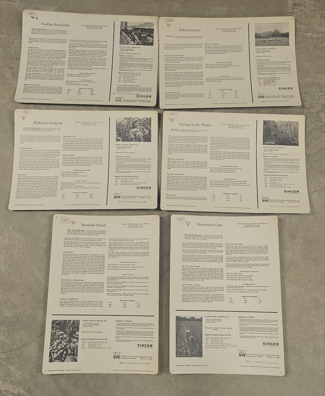 28 1960’s Educational Aids 18″x13″ Cards Erosion Fruit Farming Weather Butterfly