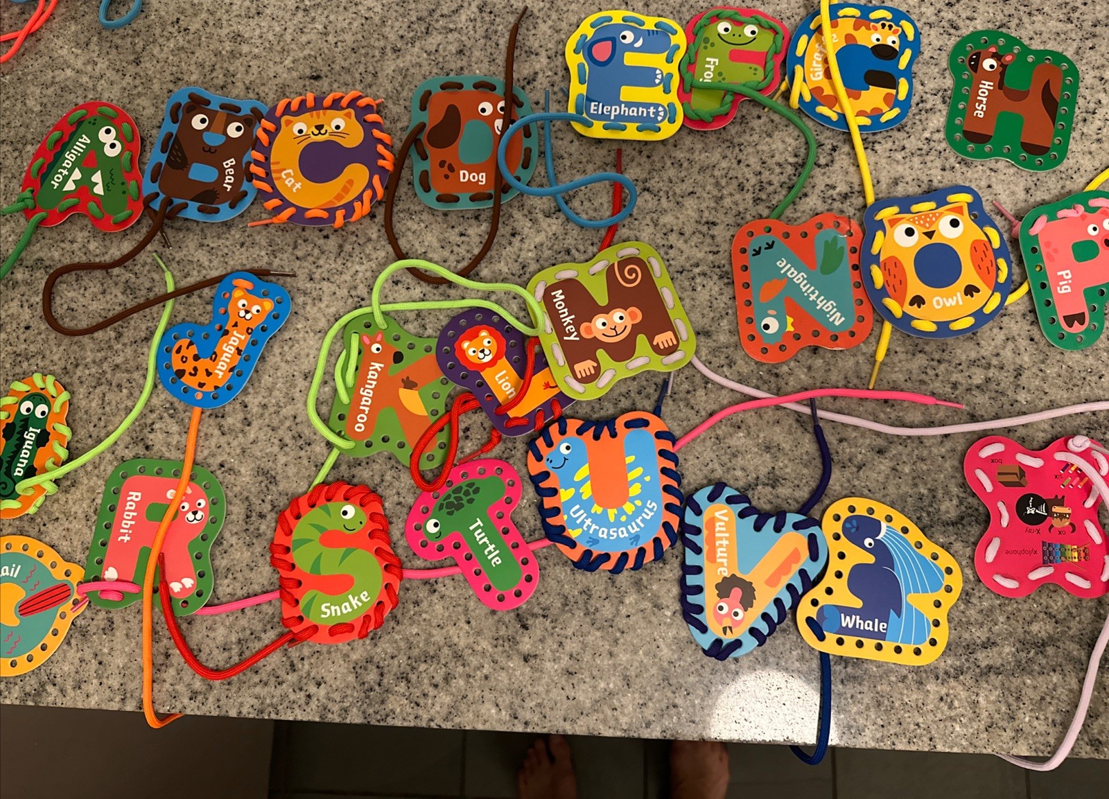 Lace and Trace Animal Learning Toy