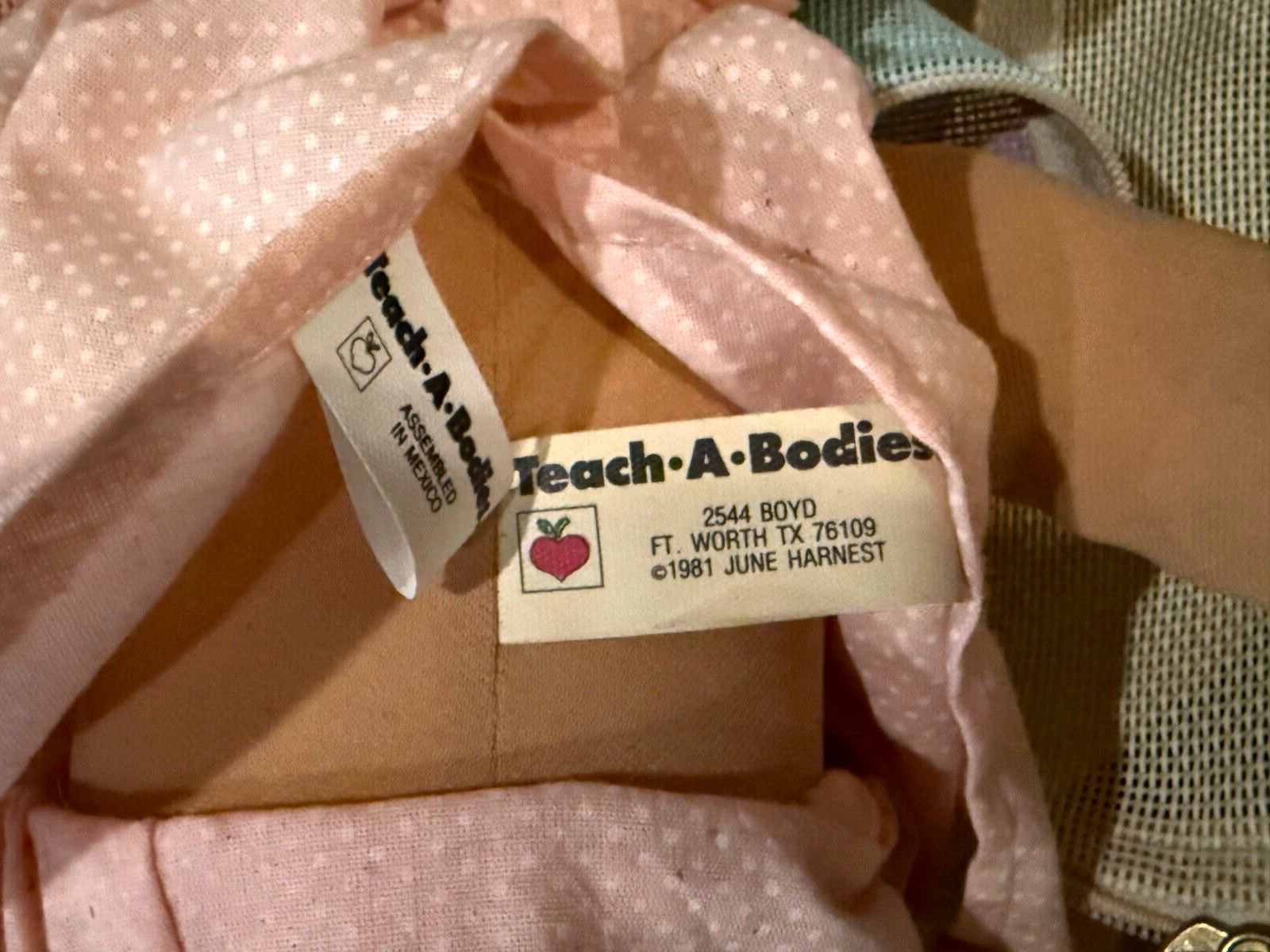 Original 80’s June Harnest Family Dolls Educational Teach A Bodies Booklet & Bag