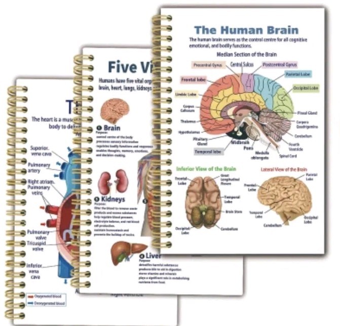 Study Guide Anatomy Structure Human Organs 3 Books Cover 5 Vital Organs Pictures