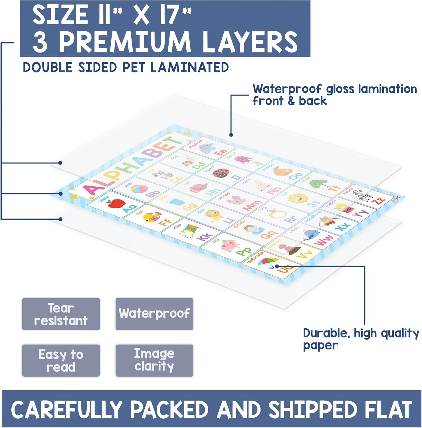 BEAWART 18 Laminated Educational Posters For Toddlers, Preschool Posters for Cla
