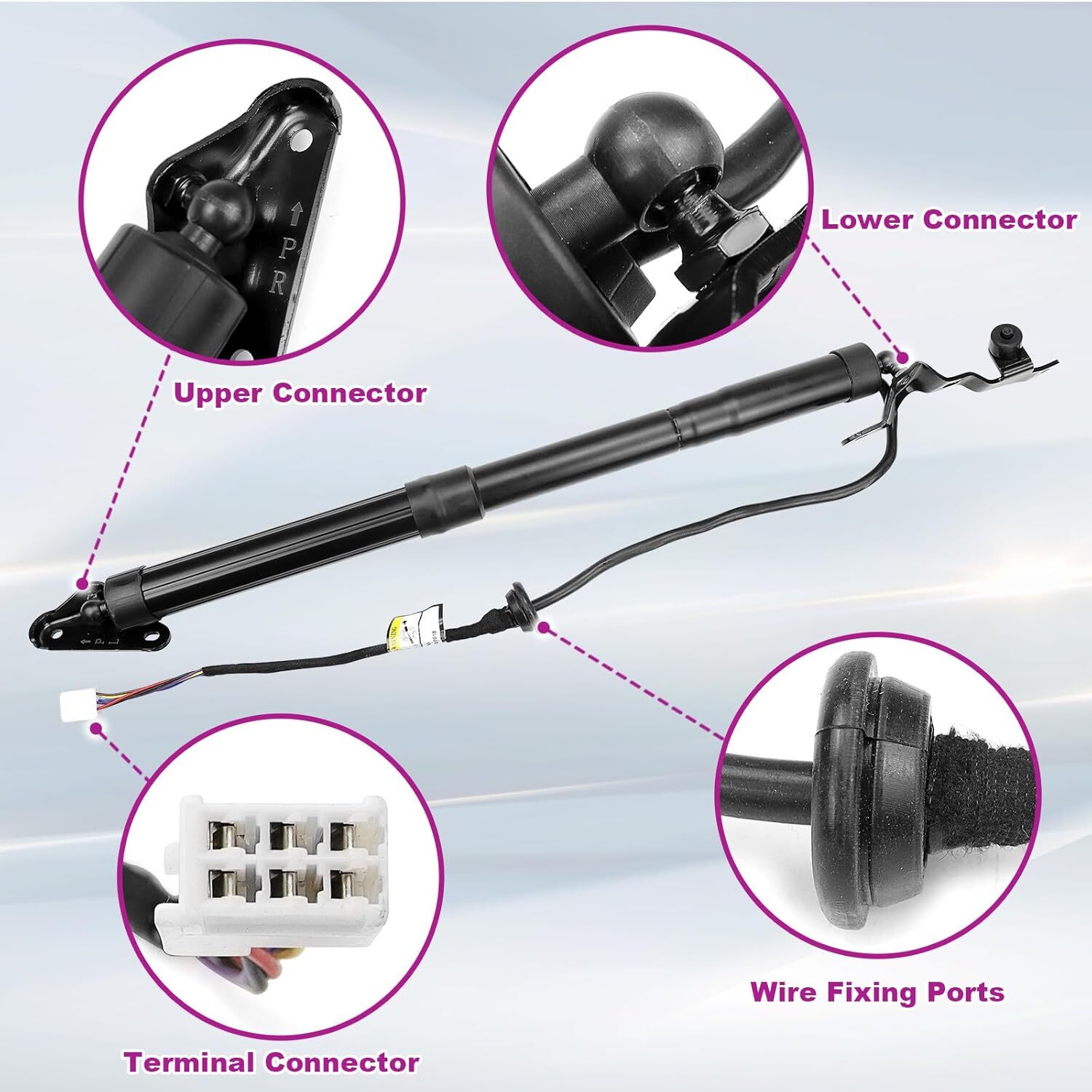 1Pair Liftgate Actuator Compatible with Toyota 2013-2018 RAV4 Electric Rear