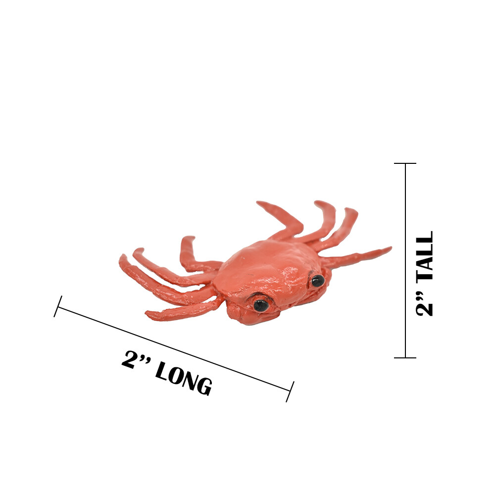 Crab Sally Lightfoot, Galapagos Islands, Plastic Replica 2″ F1591 B150