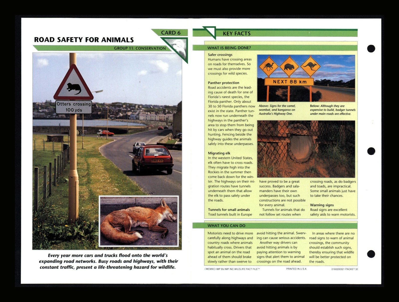 Road Safety for Animals Wildlife Fact File Card Conservation Home School 11.6