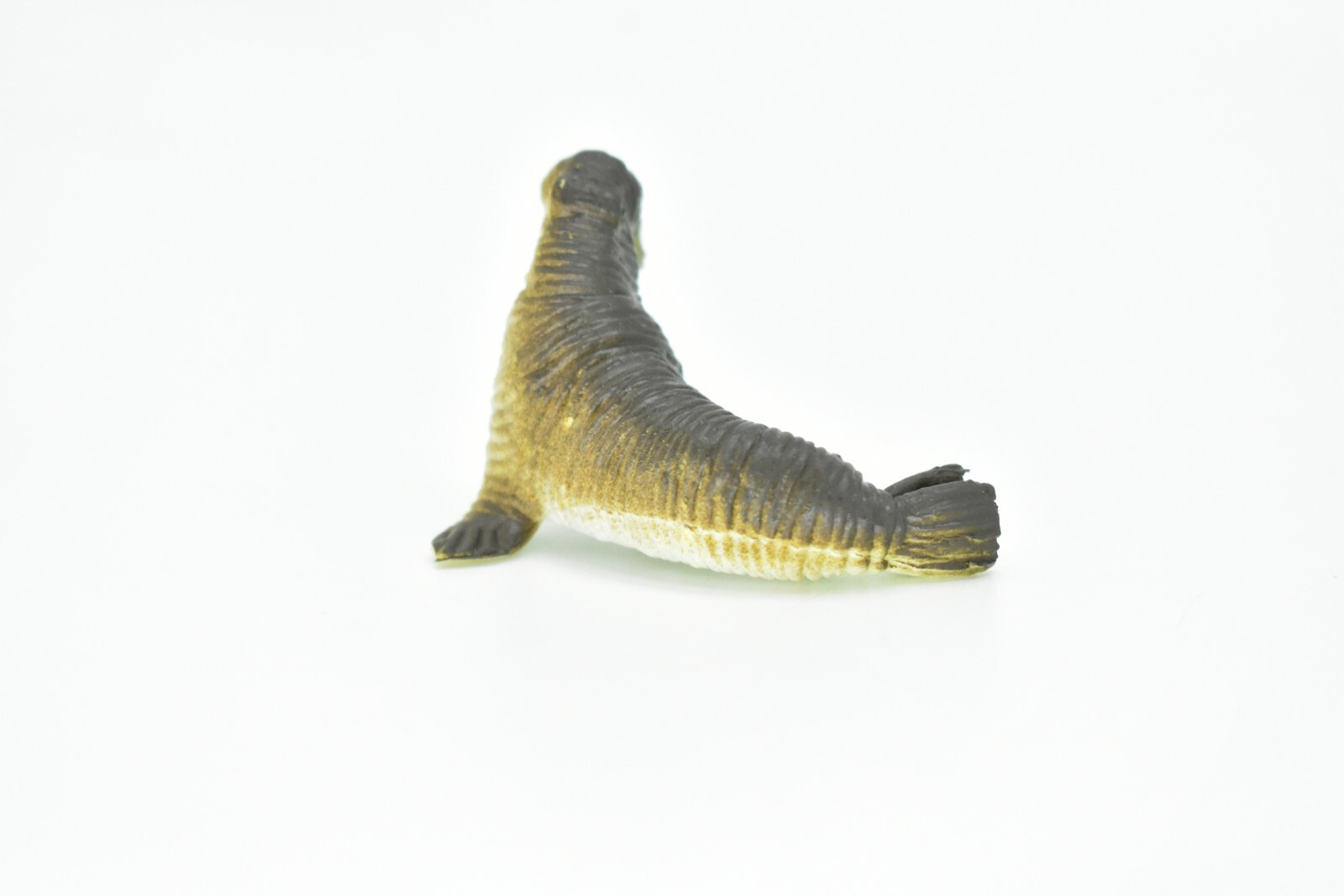 Walrus, Very Nice Plastic Replica 2″ – F220 B36