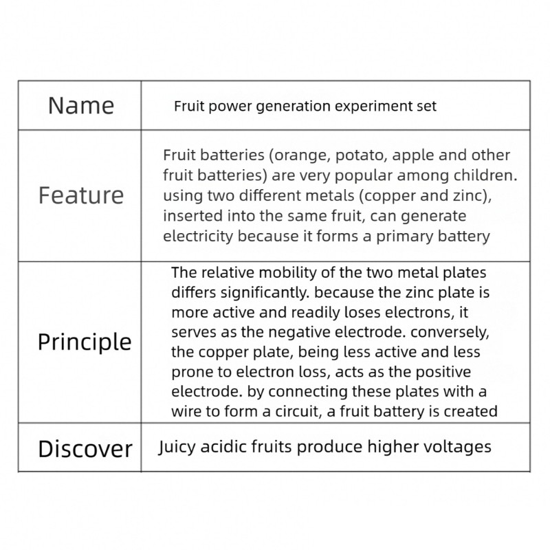 Interactive Fruit Powered Electricity Experiment Set for Kids Teen Student 7 ＋