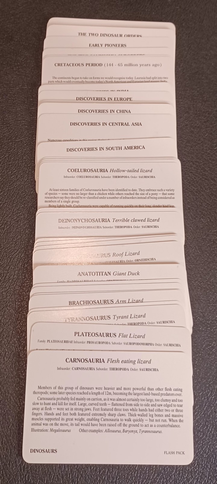 2 Sets / Vtg 60+ DINOSAURS Flash Cards Identification Cards Learning Teaching -Z