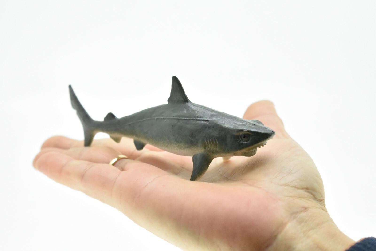 Tiger Shark, Realistic Toy Model Plastic Replica Kids Educational Gift 5″ F6015