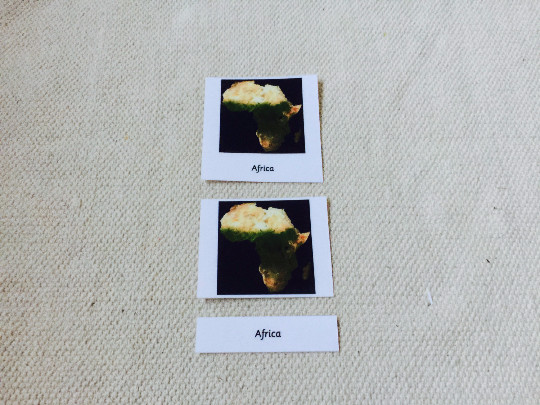 Montessori 7 Continents 5 Parts Cards