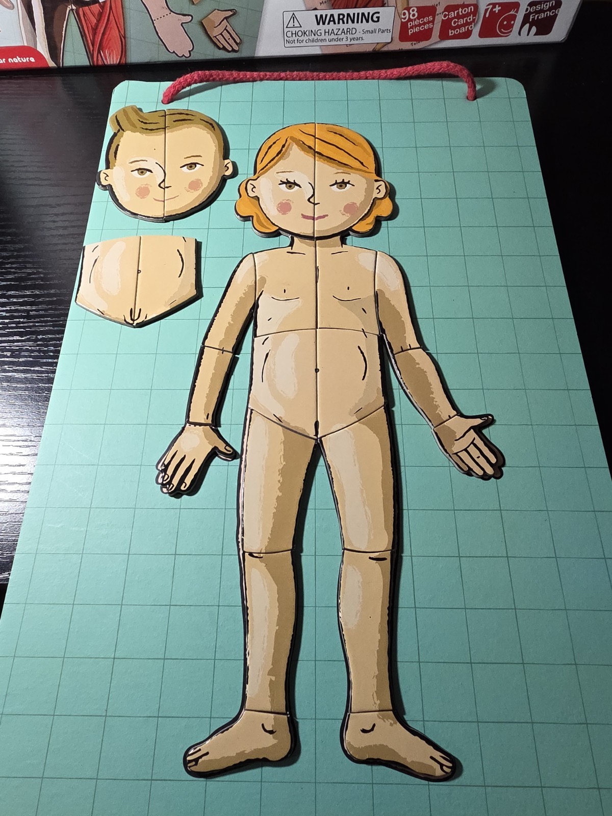 💯Complete-Janod Magnet Human Body Educational Game 11 Languages Skeletal Muscle