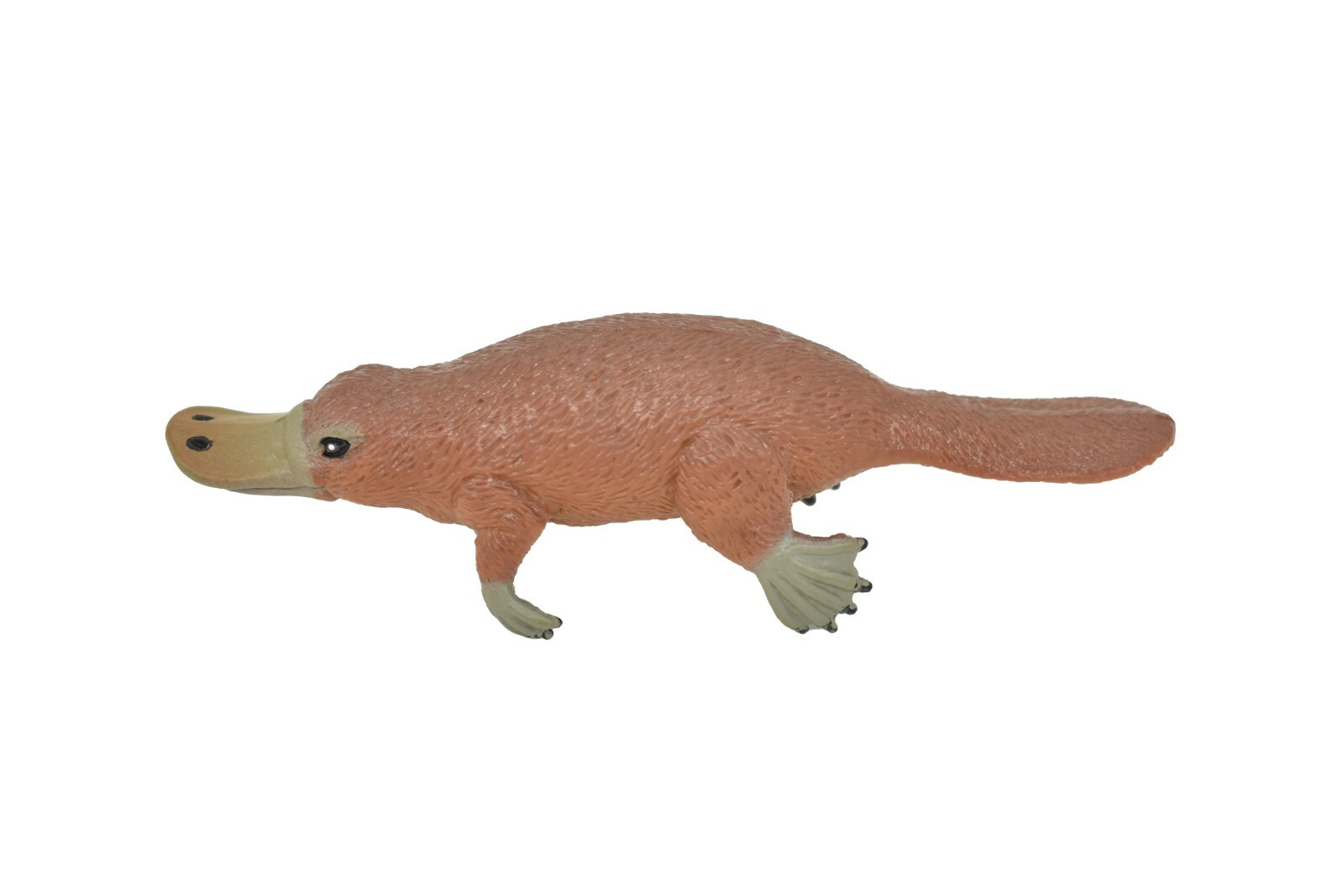 Platypus, ~ Very Nice Plastic Replica 3 1/2″ ~ F1091-B170