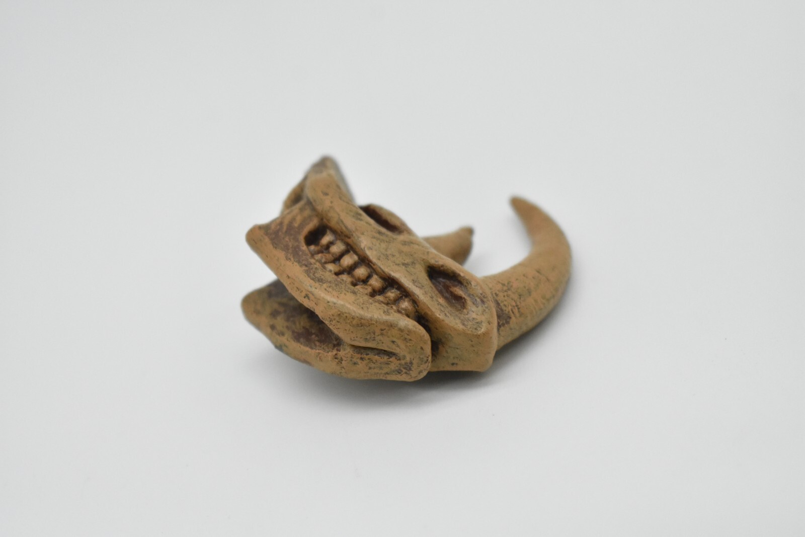 Woolly Rhino Skull, Rhinoceros, Fossil, Realistic Model Toy 1 1/2″ F3132 B224