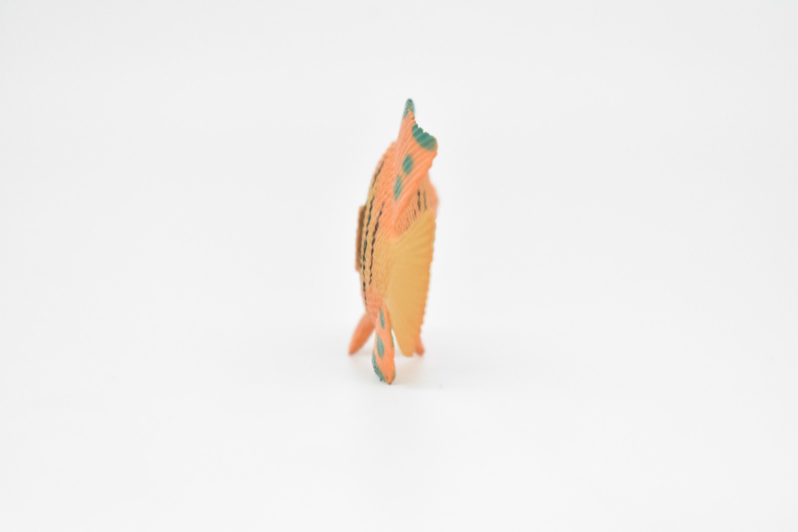 Angelfish Toy, Flame Ciclid, Realistic Tropical Fish, Plastic Replica 2″ CWG273