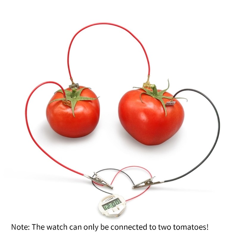 Interactive Fruit Powered Electricity Experiment Set for Kids Teen Student 7 ＋