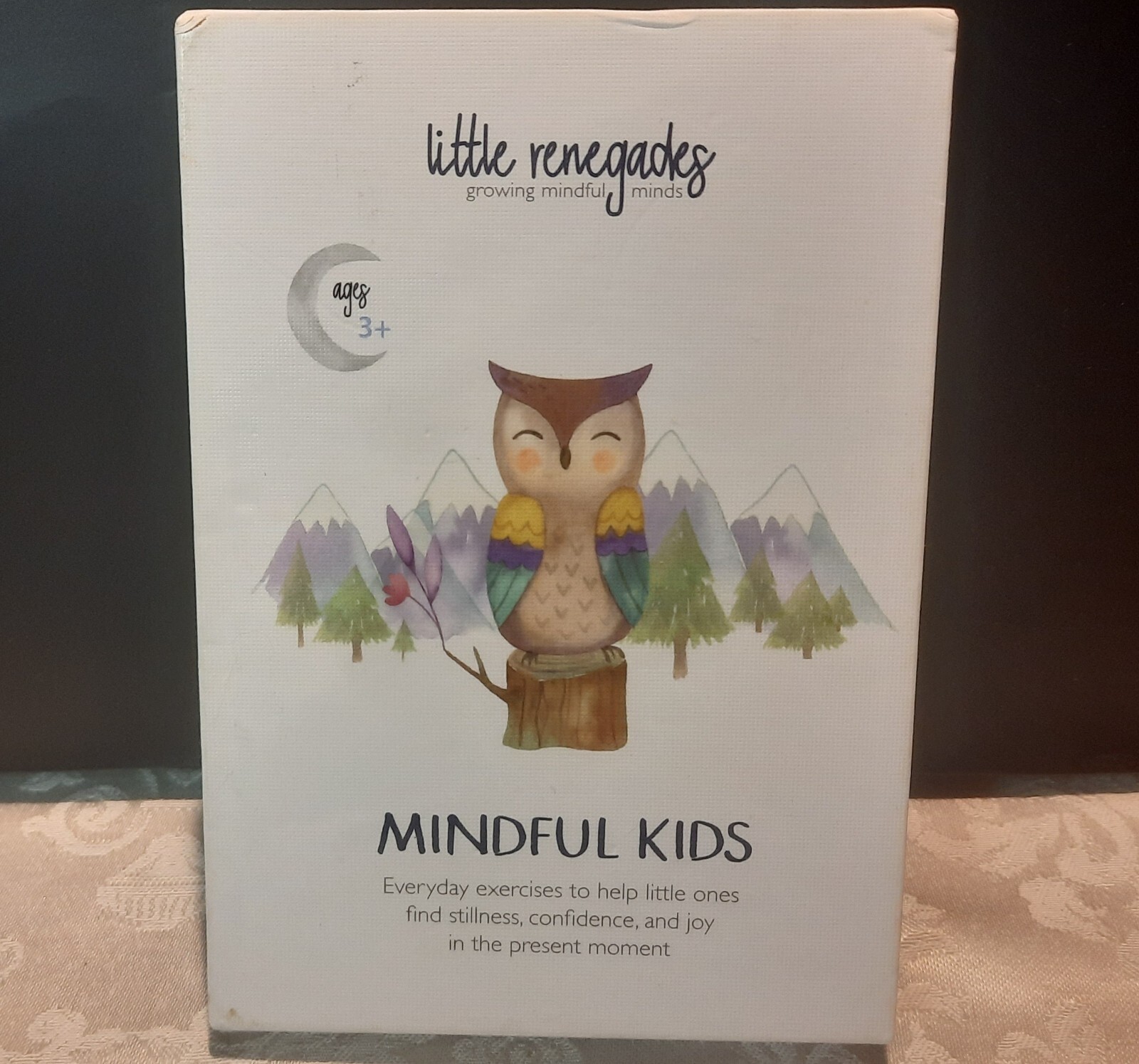 Little Renegades Mindful Kids Cards Everyday Exercises for Confidence & Joy EUC