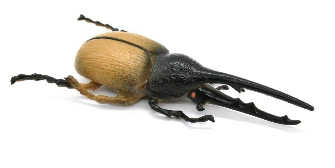 Hercules Beetle, Very Nice Rubber Reproduction 3″ CWG10 B13