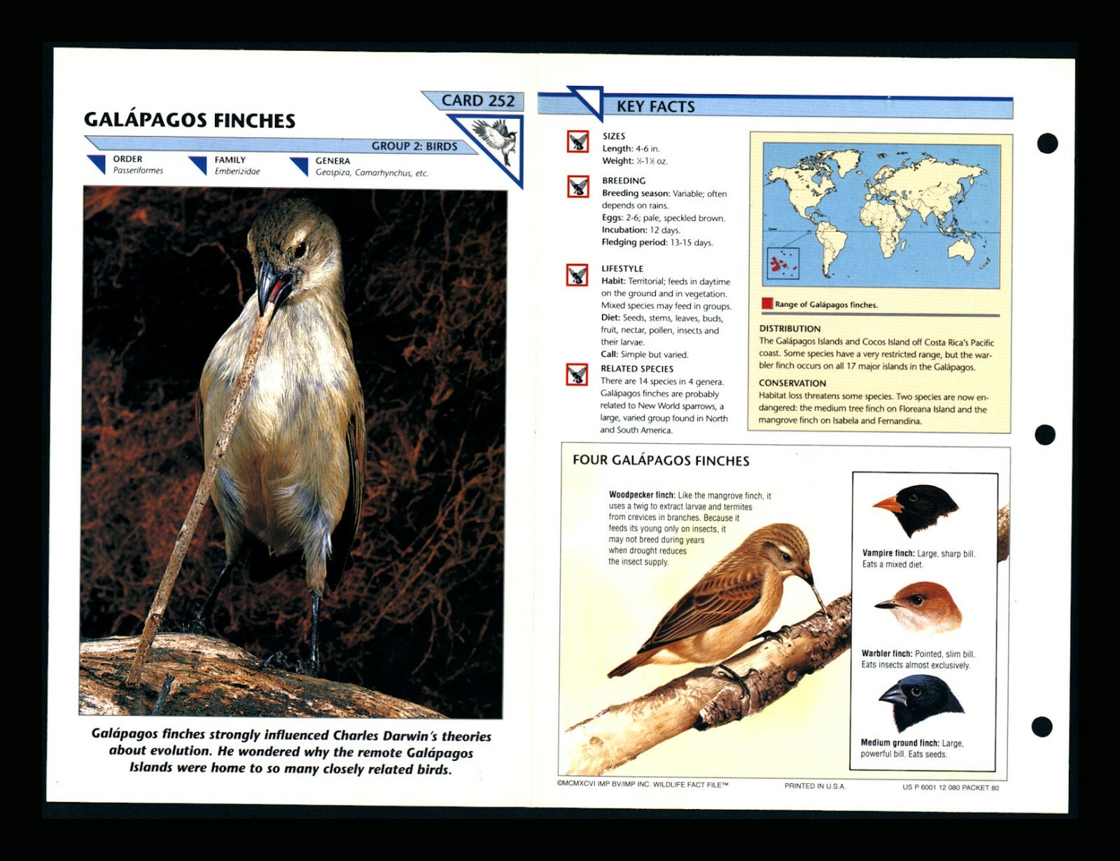 Galapagos Finches Wild Life Fact File Bird Animal Card Home School Study 2.252