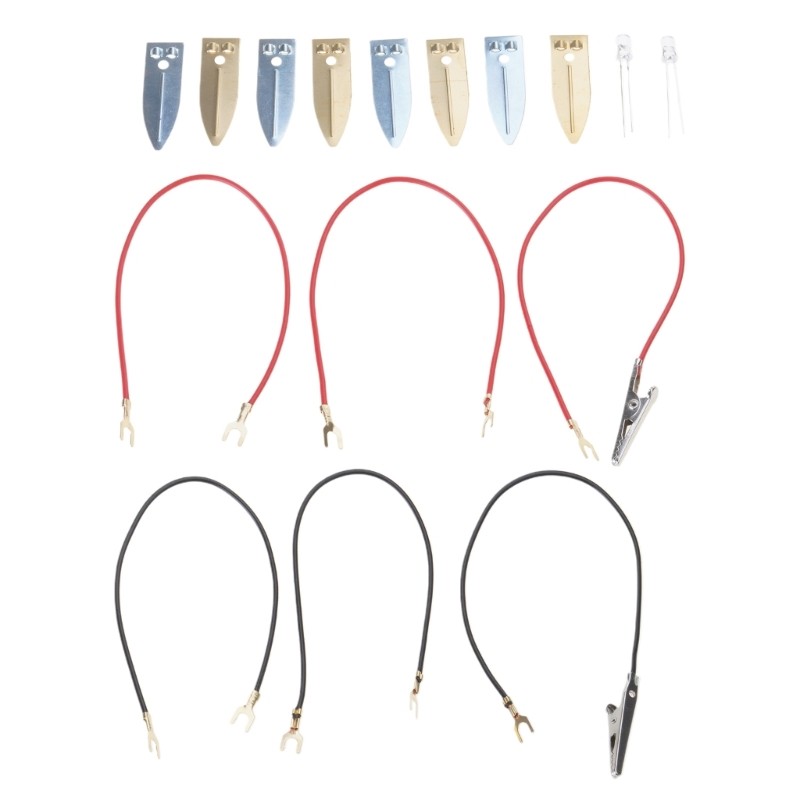Fruit Electricity Experiment Hands on Assembly Toy for Kids Teen Student