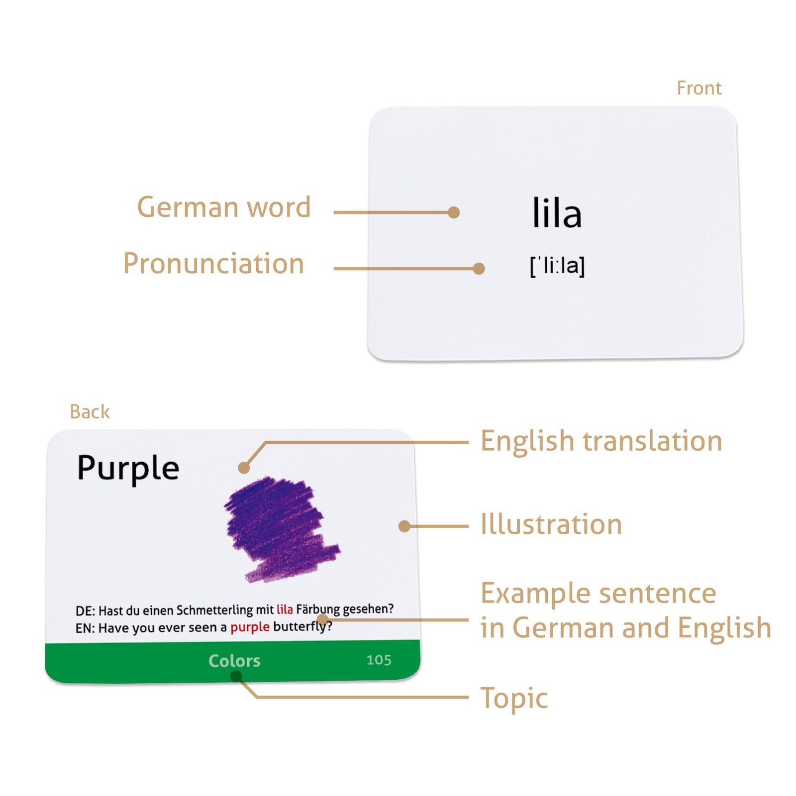 Carddia German Vocabulary Educational Flashcards For Beginners Pictures Example