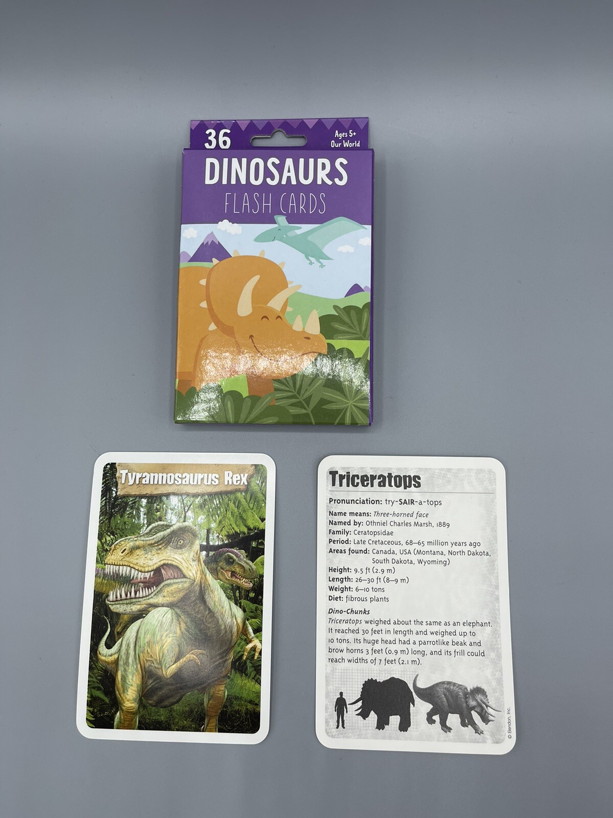 Bendon Dinosaurs Our World Flash Cards 36 Flashcards New