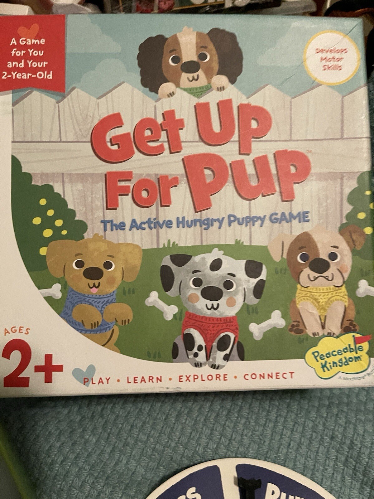 Get Up For Pup Cooperative Learning Game Peaceable Kingdom – 100% Complete