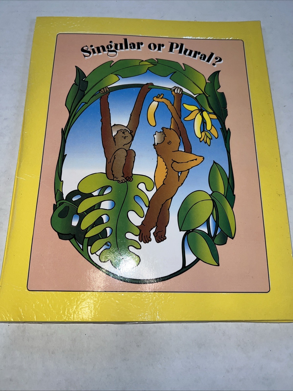 Singular Or Plural? Grades K-1 File Folder Game