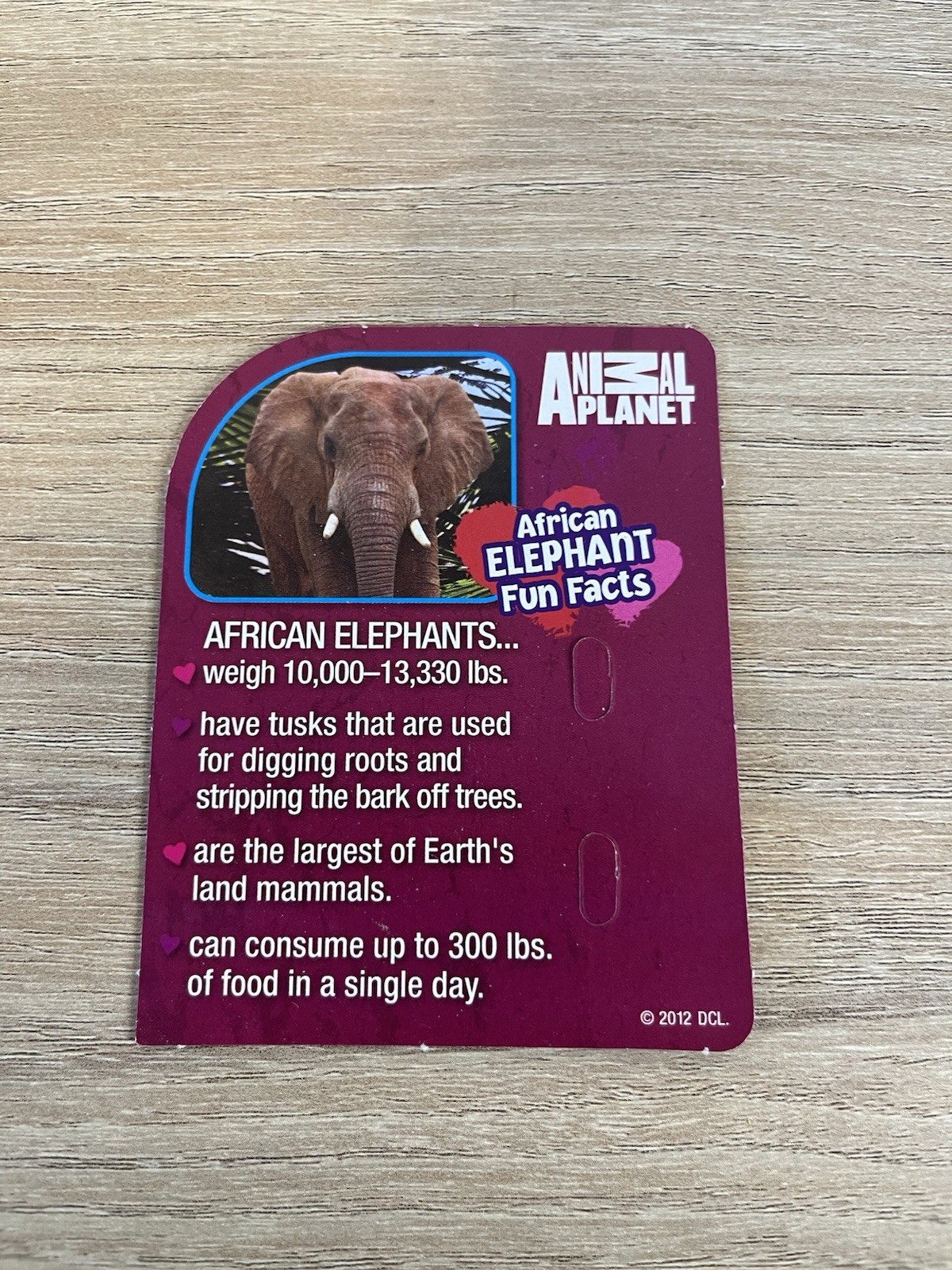 Animal Planet Valentines Days Cards Missing Lollipops