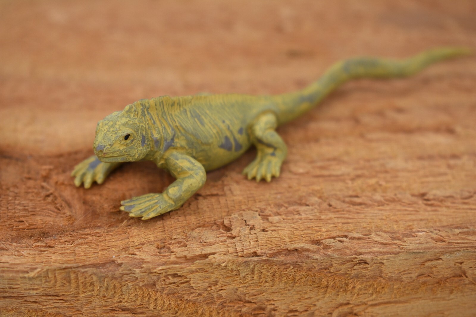 Iguana, Land Galapagos Islands Plastic Replica 4-inch plastic – F1525 B150