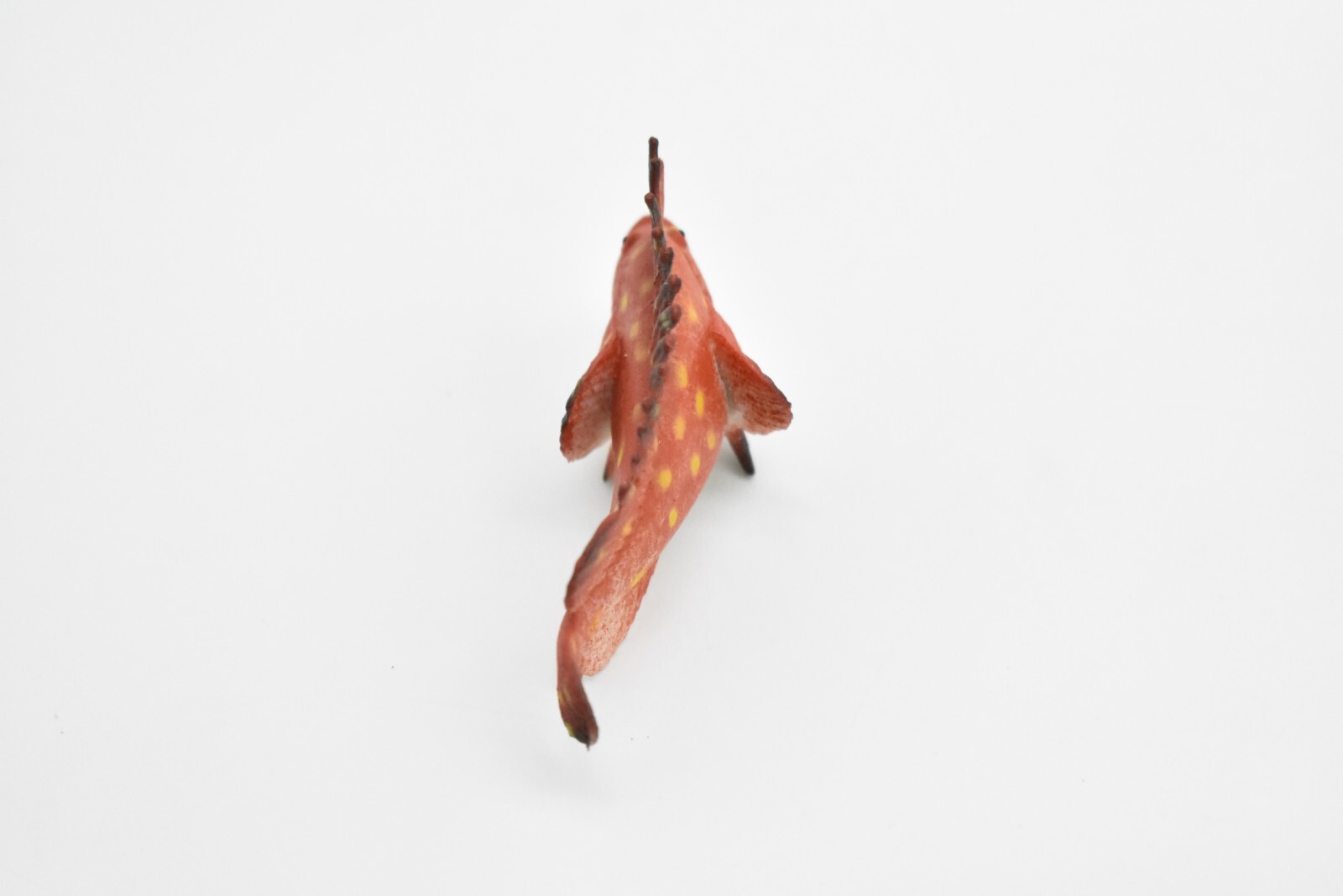 Spotted Kelpfish, Tropical Fish, Ocean, Plastic, Realistic Figure, CWG271B46