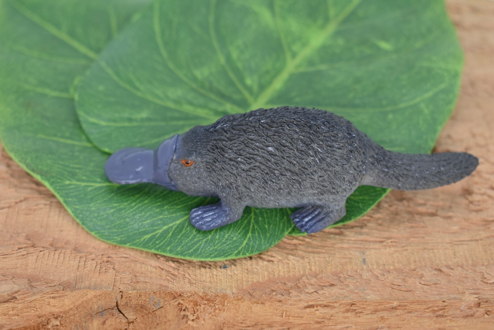 Platypus, Life Like Plastic Replica 4 inches long – F320 B111