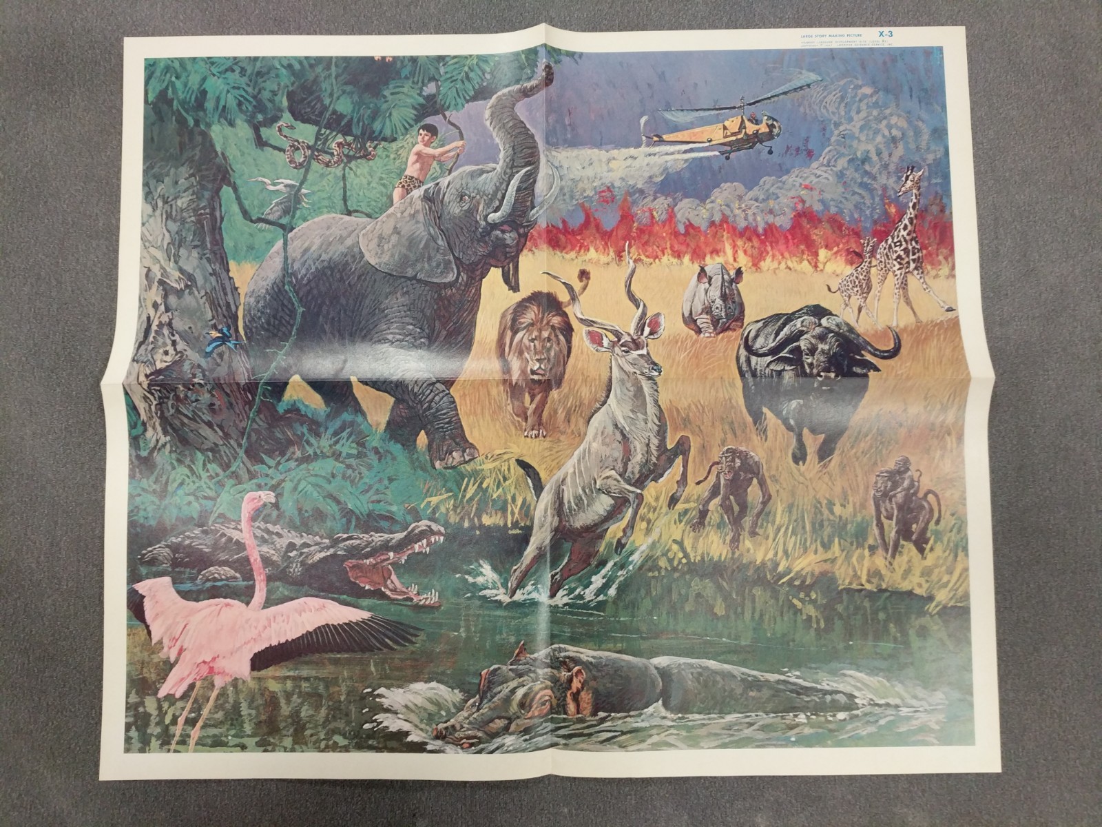 Peabody Fossum Vintage Jungle Wild Animals & Pirates 1966 School 2 Poster Lot #4