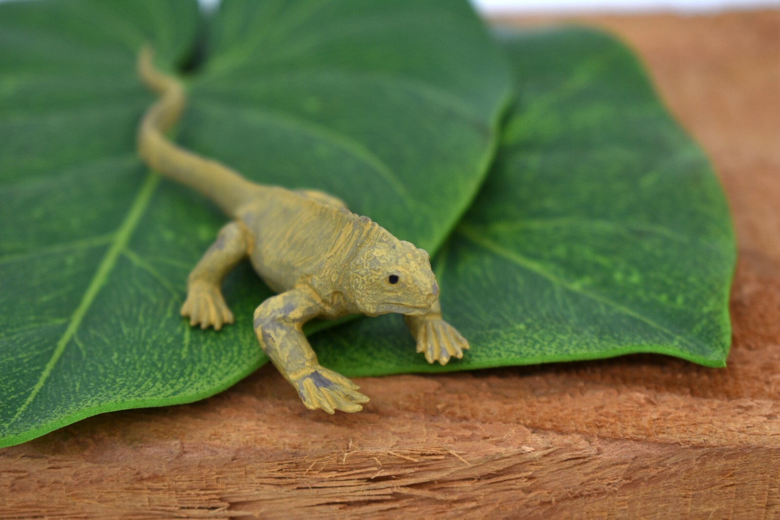 Iguana, Land Galapagos Islands Plastic Replica 4-inch plastic – F1525 B150