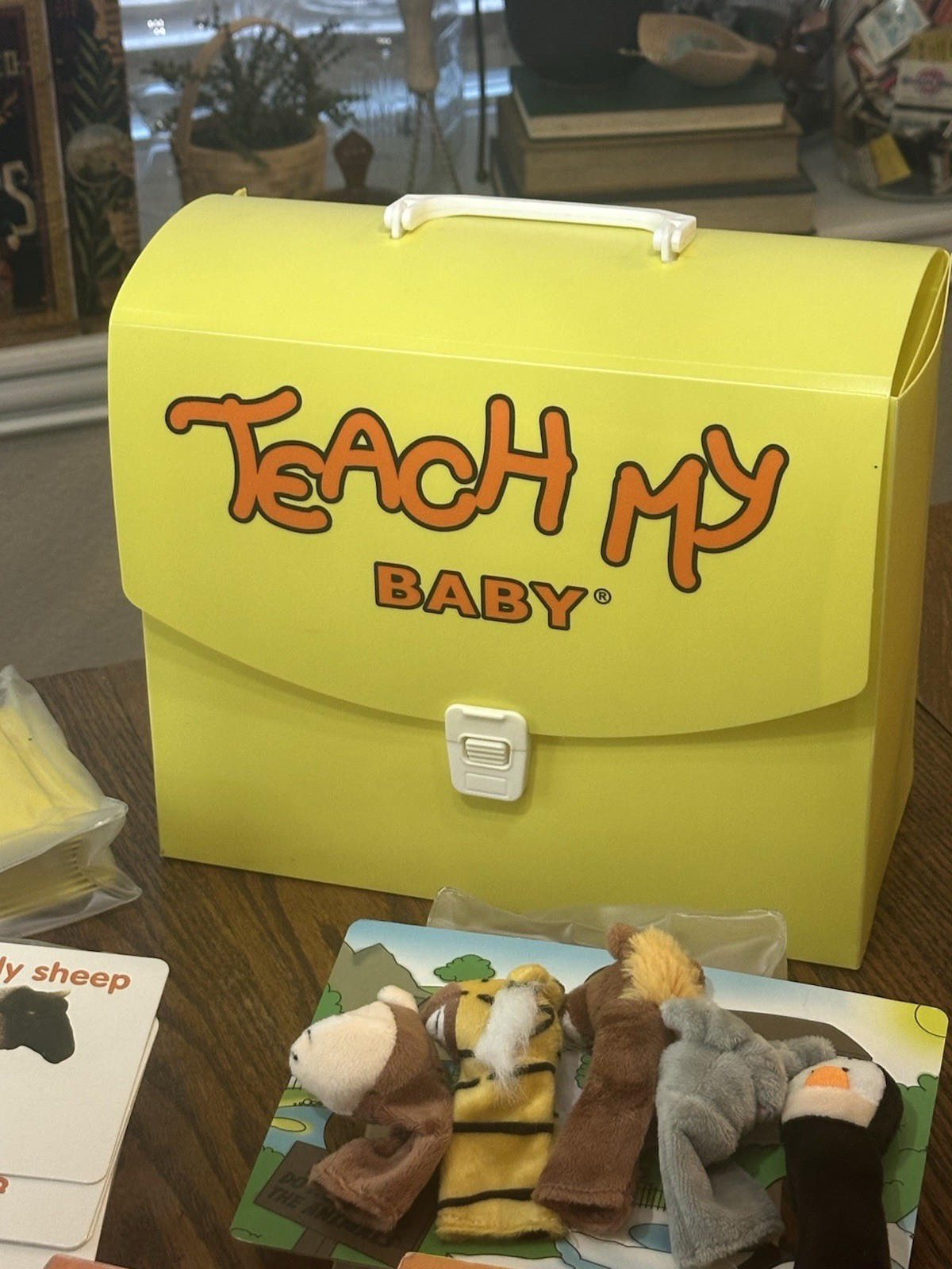 Teach My: Learning Kit – Baby, Guided Child Development, Baby and Toddler 6mo+