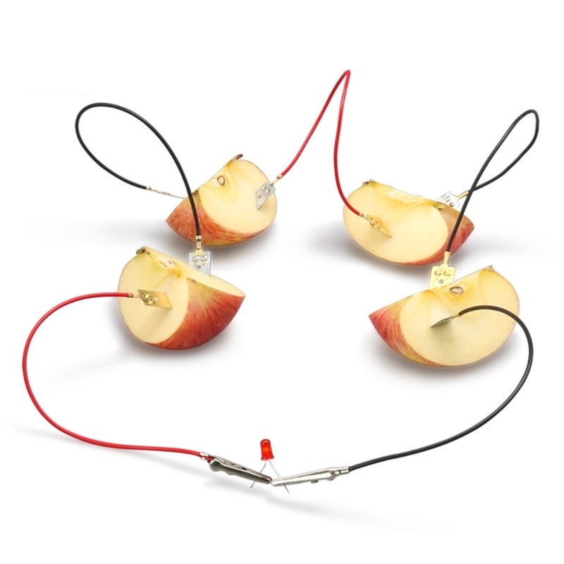 Interactive Fruit Powered Electricity Experiment Set for Kids Teen Student 7 ＋