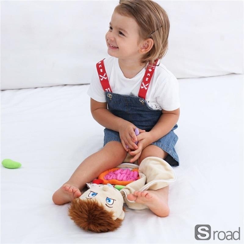 Human Body Anatomy Plush Toy Educational Doll Removable Organs STEM Learning Kid