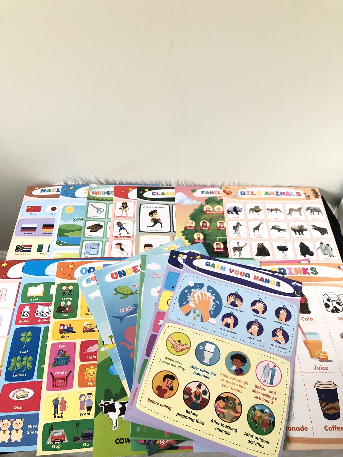 24PCS Educational Preschool Posters for Toddlers Kindergarten Classroom Learning