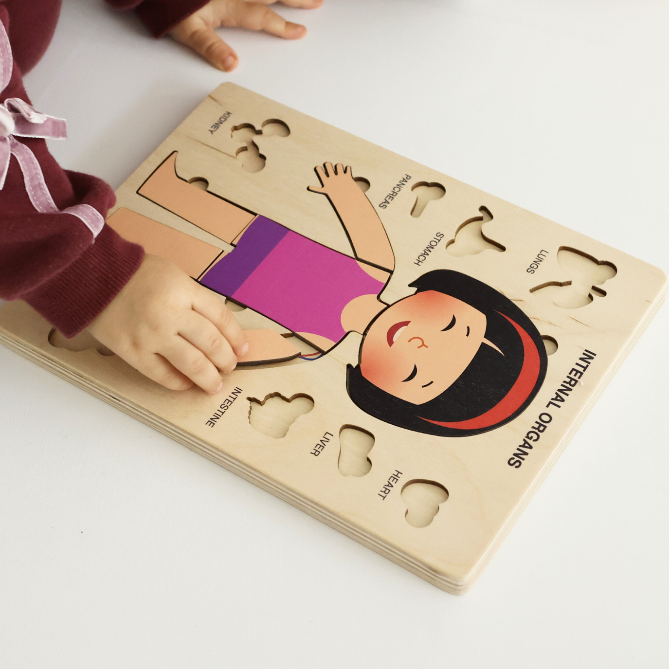 Montessori Wooden Human Body Puzzle – Organs & Stand, STEM Educational (Ages 3+)