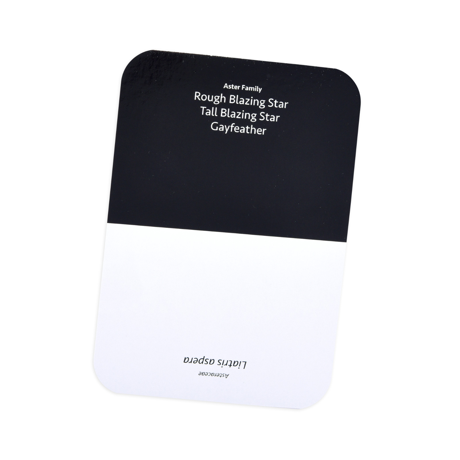 Learn Native Plants of the Upper Midwest, 155 species, flash cards