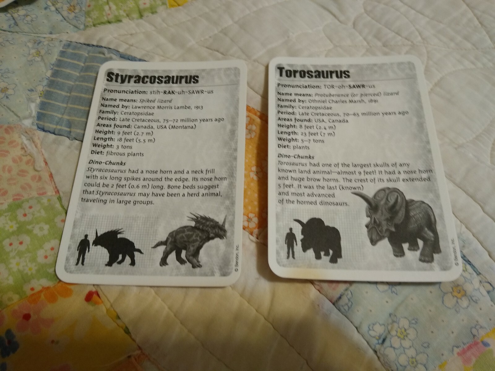 DINOSAURS 🦖 Educational Flash Cards Set of 36 Bendon NEW! Free shipping!