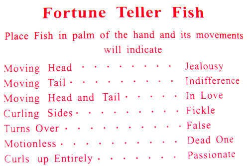 144 MIRACLE FORTUNE TELLING FISH Teller Palm Reading Party Favors (12 dz)