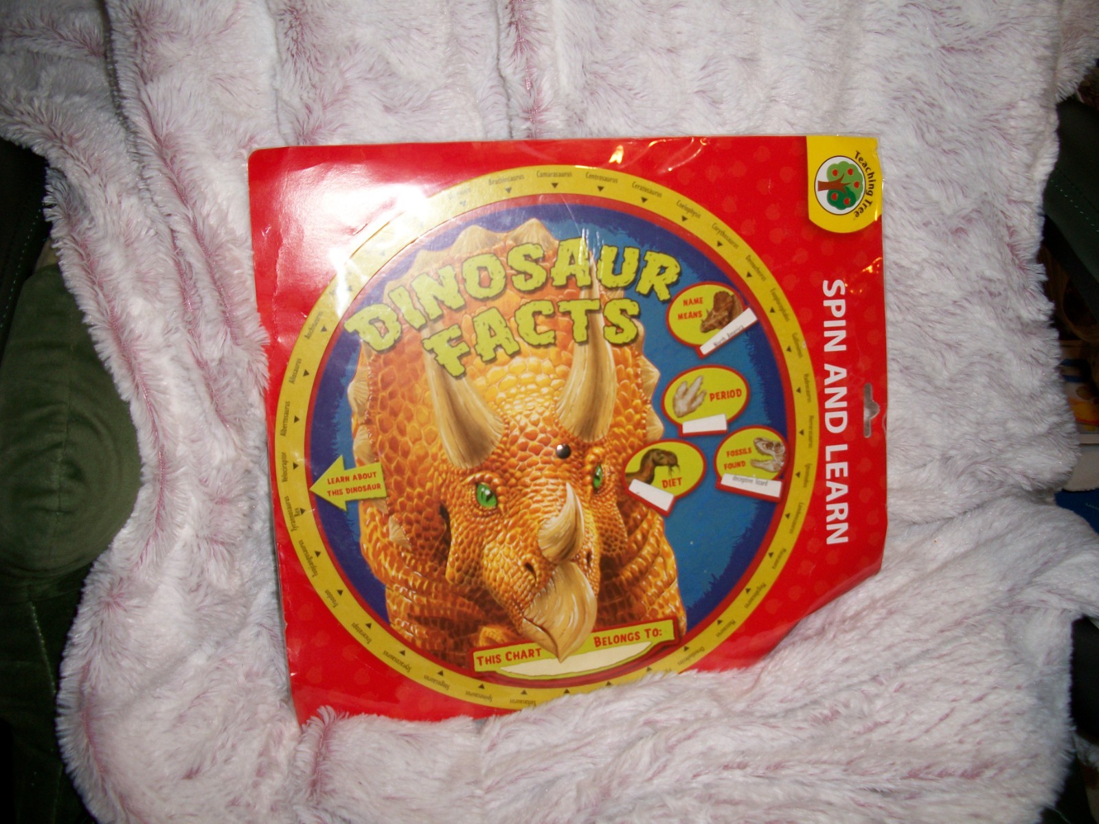 Dinosaur Facts Spin and learn New Sealed