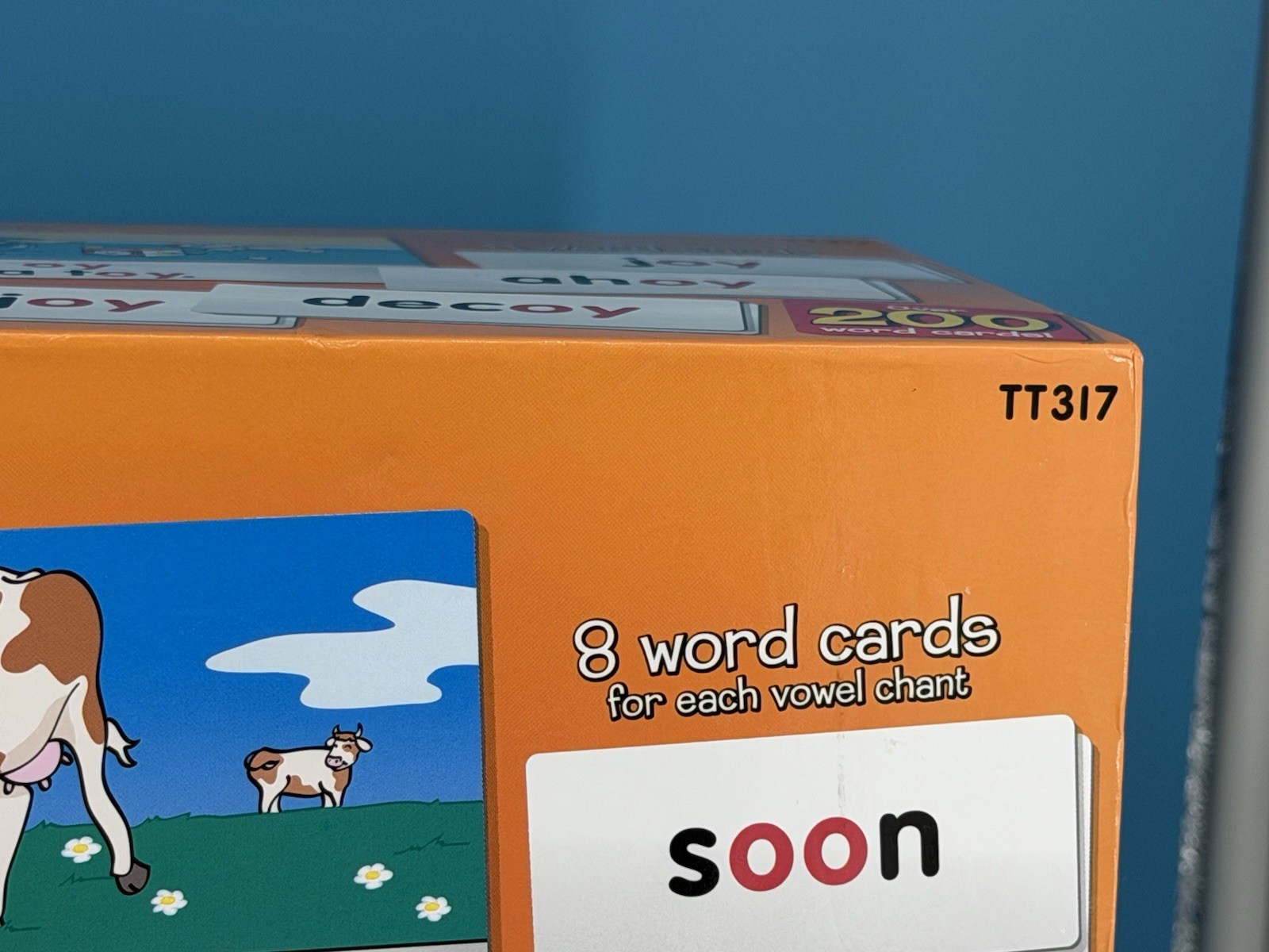 Lakeshore Chant & Sort Vowel Sounds Activity Cards TT317 Complete Teacher Set