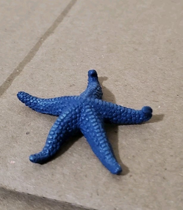 Safari Ltd Blue Sea Star Starfish Figure Ocean Sea Life Toy Collectible