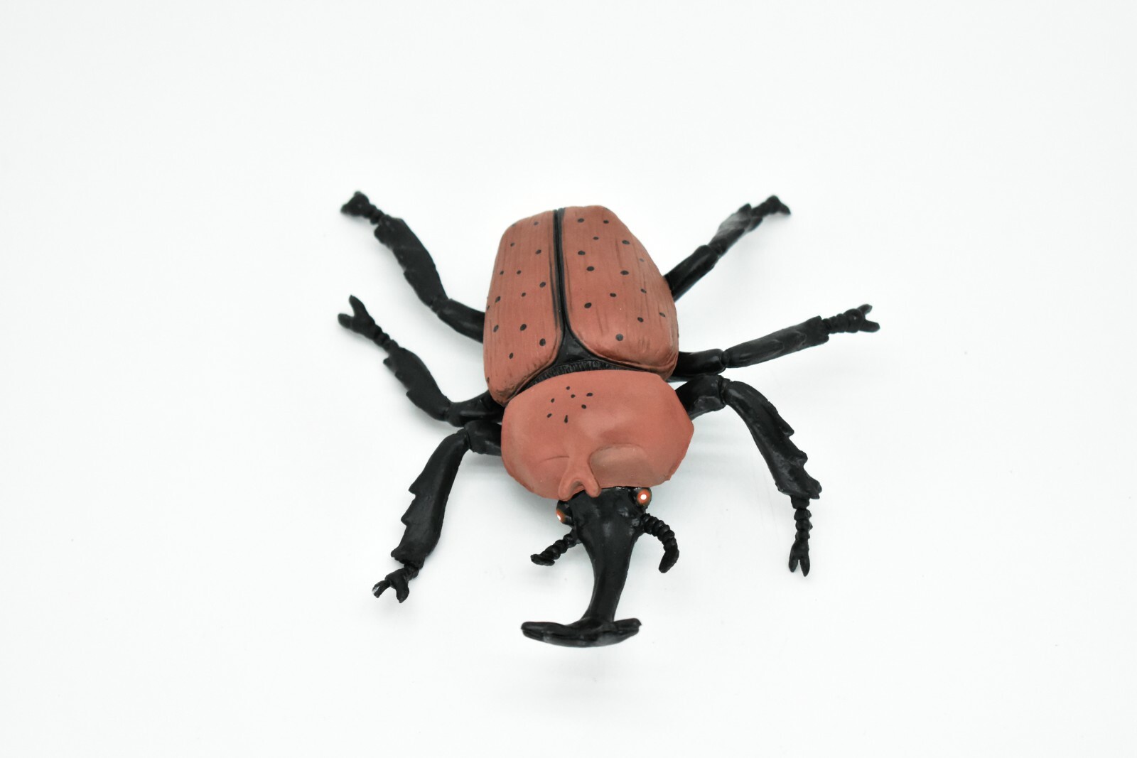 Beetle, Rhinoceros , Brown, Very Nice Rubber Replica 4 1/2″ – F2061 B133